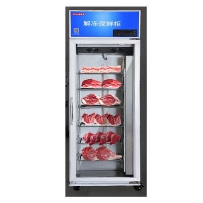 Food Thawing Cabinet Commercial Meat Single Door Thaw Cabinet